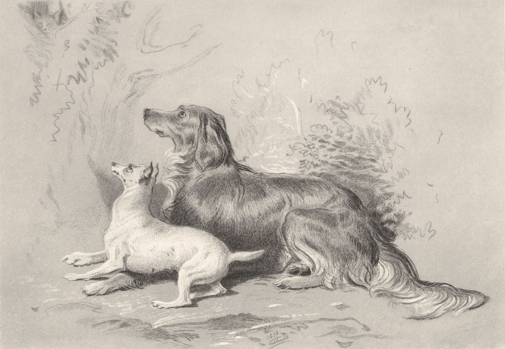 DOGS. Safe!-Landseer c1880 old antique vintage print picture
